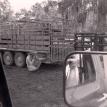 Dennis at Ricky Breaux's ranch, St. Charles, Louisiana 1988