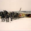 Julie and Ian on my sled, Arapahoe Ranch, Coalmont, Colorado 1993