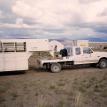 Camped at Poverty Basin to ship cows, Z X Ranch, Paisley, Oregon 1994