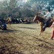 Dennis on Chief, fall branding, Dunham Ranch, Sulphur Bluff, Texas 1997